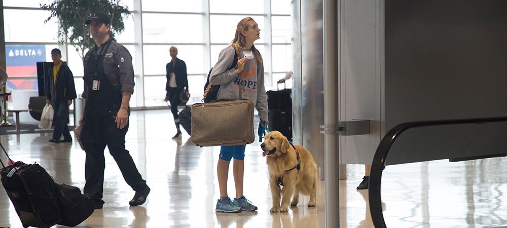 prepare your pet for travel